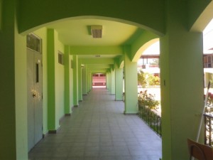 escuela laura matus pintura